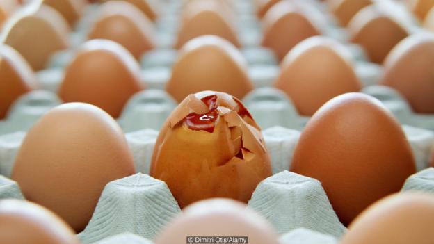 ȥζͳ